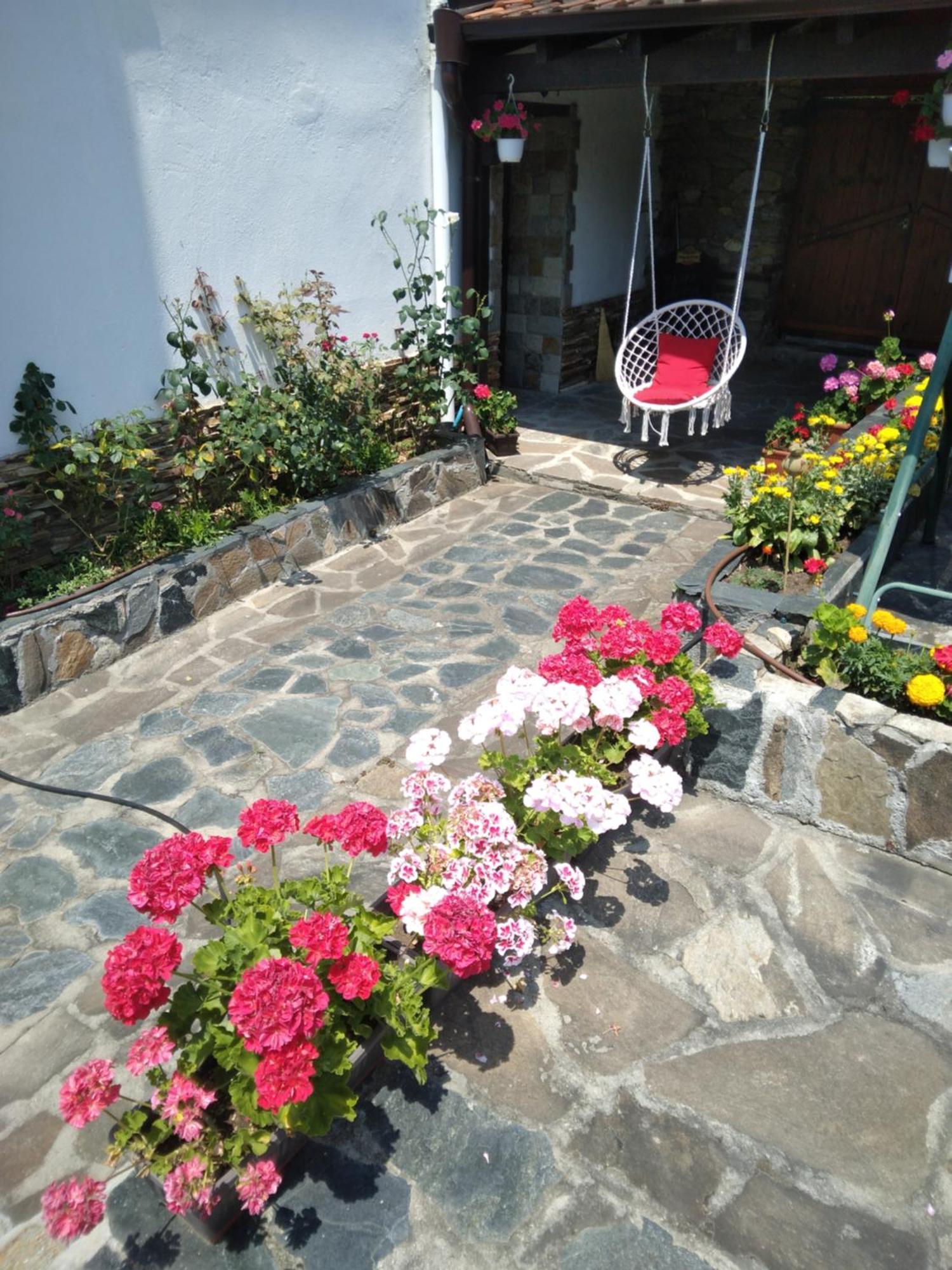 Guest House Popov Marchevo Exterior photo